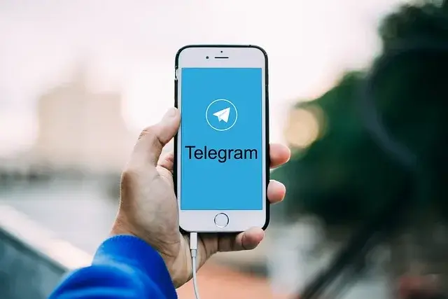 blog una brujula y mil girasoles canal de telegram
