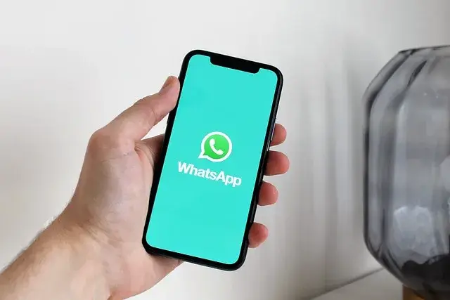 blog una brujula y mil girasoles canal de whatsapp
